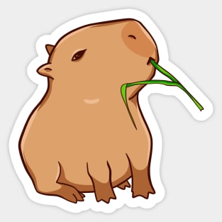 Capybara with a leaf Sticker